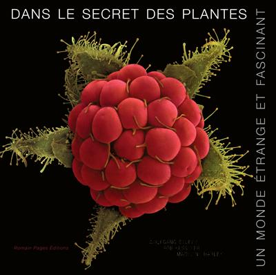 Dans le secret des plantes : un monde étrange et fascinant