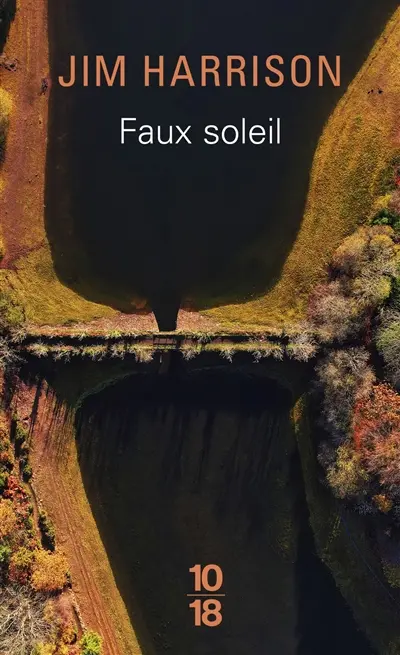 Faux soleil : l'histoire d'un chef d'équipe américain, Robert Carvus Strang, racontée à Jim Harrison