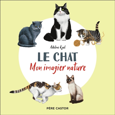 Le chat