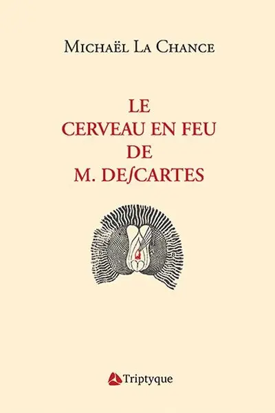 Le cerveau en feu de M. Descartes