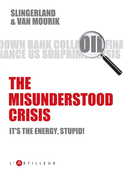 the misunderstood crisis : it's the energy, stupid !