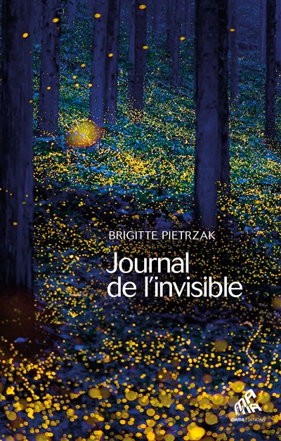 Journal de l'invisible