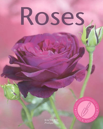 Roses : 100 variétés de roses pour répondre à tous vos besoins, les conseils d'un spécialiste pour bien choisir et entretenir vos rosiers