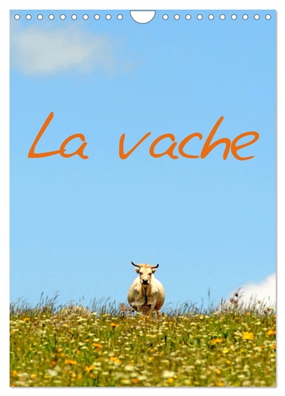 Canottiera Donna Senza Maniche - Pacco Da 2, 100% Cotone, Bianco E Nero - Foto 11