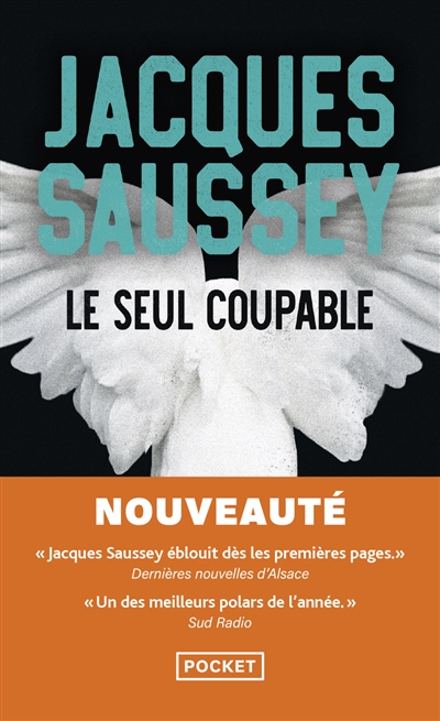Le seul coupable
