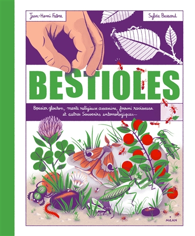 Bestioles : bousier glouton, mante religieuse assassine, fourmi ravisseuse et autres souvenirs entomologiques...
