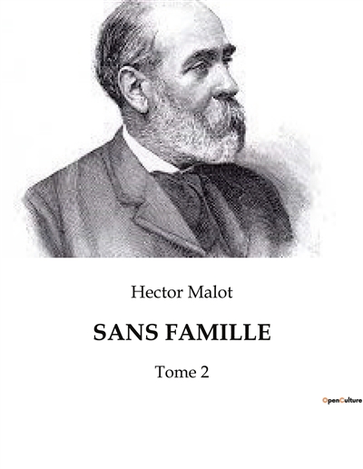 SANS FAMILLE : Tome 2