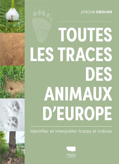 Toutes les traces des...