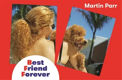 Best friend forever : memory game