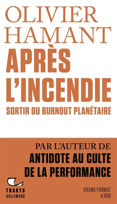 Après l'incendie : sortir du burnout planétaire