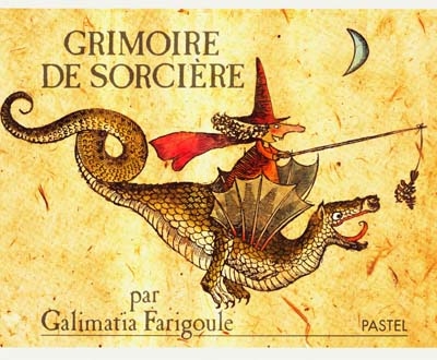 Grimoire de sorcière. Recettes, usages et histoires secrètes