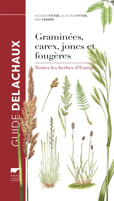 Guide des graminées, carex, joncs et fougères : toutes les herbes d'Europe