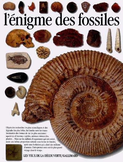 L'énigme des fossiles