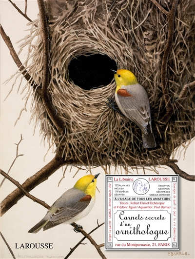 Carnets secrets d'un ornithologue : à l'usage de tous les amateurs