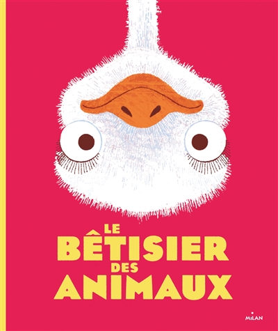 Le bêtisier des animaux