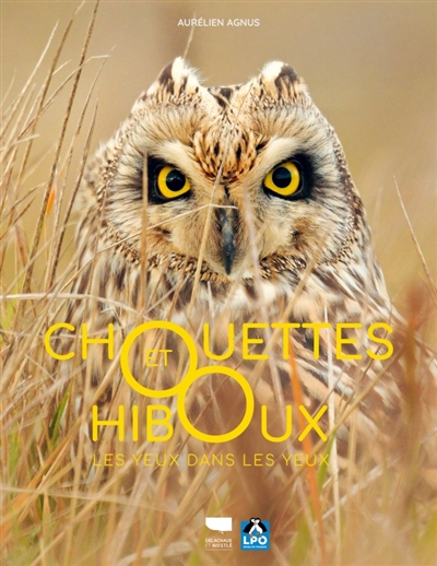 Chouettes et hiboux : les...