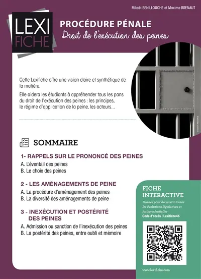 Droit pénal : le droit de l'exécution des peines