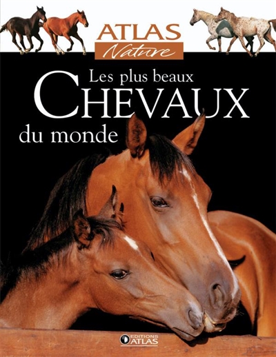 Les plus beaux chevaux du monde