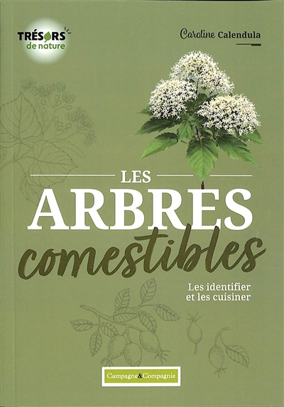 Les arbres comestibles : les identifier et les cuisiner