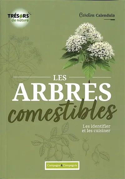 Les arbres comestibles : les identifier et les cuisiner