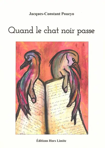 Quand le chat noir passe