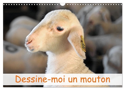 Dessine-moi un mouton (Calendrier mural 2025 DIN A3 vertical), CALVENDO calendrier mensuel : L'univers des moutons en Occitanie