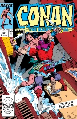 Conan le barbare : l'intégrale. 1988-1989