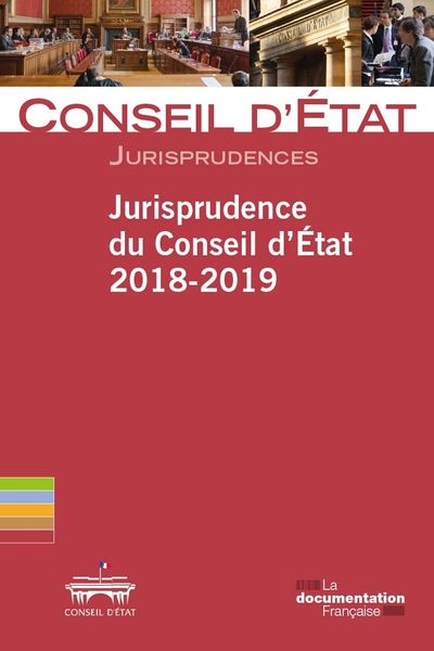 Jurisprudence du Conseil d'Etat, 2018-2019