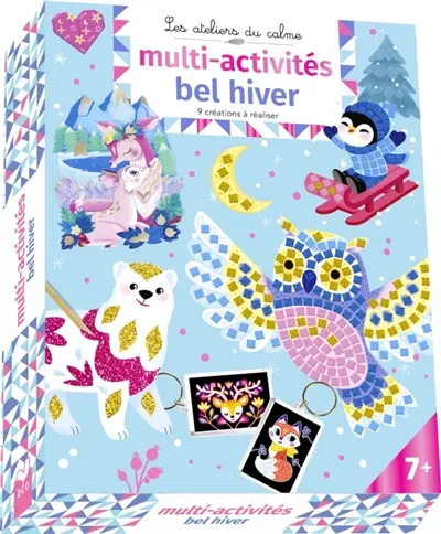 Bel hiver : multi-activités : 9 créations à réaliser