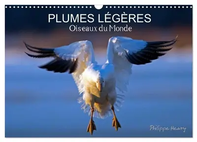 PLUMES LEGERES. Oiseaux du Monde (Calendrier mural 2026 DIN A3 vertical), CALVENDO calendrier mensuel : Treize photos d'oiseaux en action, photographiés avec l'oeil d'artiste de philippe Henry