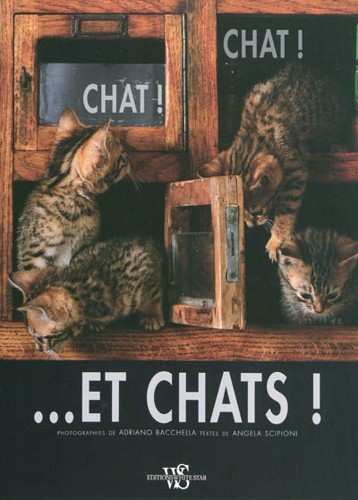 Chat ! Chat et... chats !