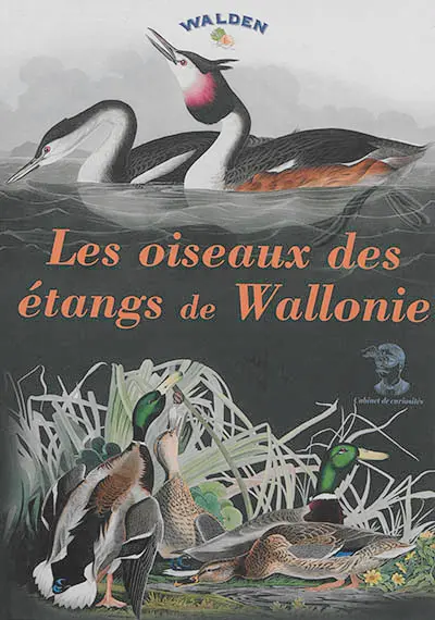 Les oiseaux des étangs de Wallonie
