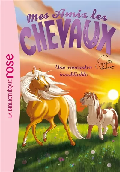 Mes amis les chevaux. Vol. 6. Une rencontre inoubliable