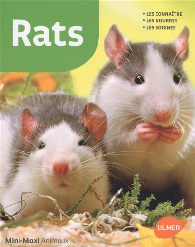 Rats : les connaître, les nourrir, les soigner