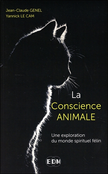 La conscience animale : une exploration du monde spirituel félin