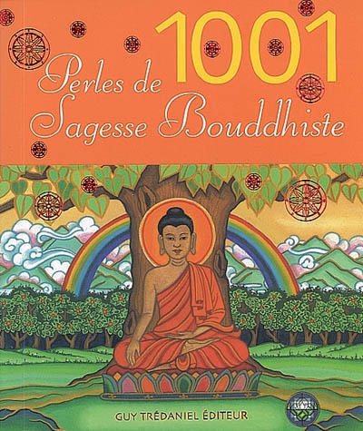 1.001 perles de sagesse bouddhiste