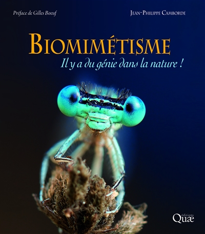 Biomimétisme : il y a du génie dans la nature !