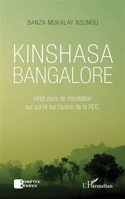 Kinshasa, Bangalore : vingt jours de méditation sur soi et sur l'avenir de la RDC