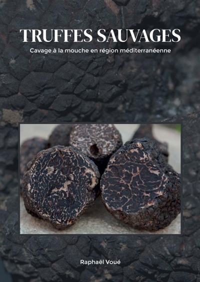 Truffes sauvages : Cavage à...