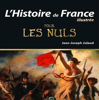 L'histoire de France illustrée pour les nuls