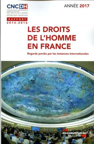 Les droits de l'homme en France : regards portés par les instances internationales : rapport 2014-2016