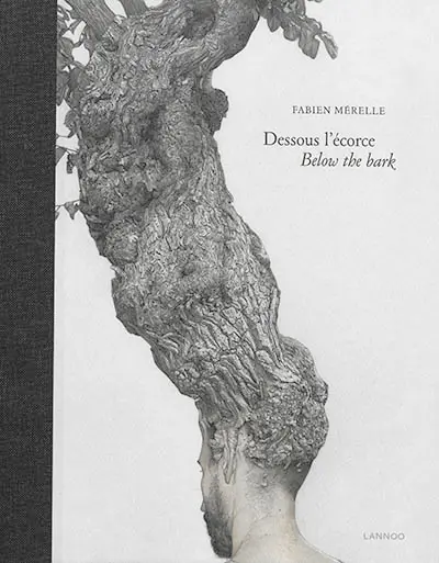 Fabien Mérelle : dessous l'écorce. Fabien Mérelle : below the bark