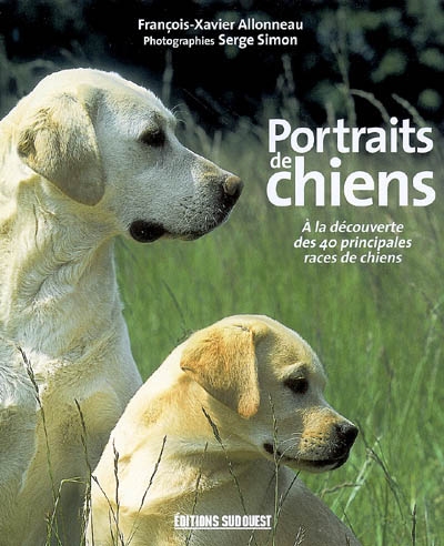 Portraits de chiens : à la découverte des 40 principales races de chiens