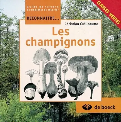 Les champignons : guide de terrain à compléter et colorier : classes vertes