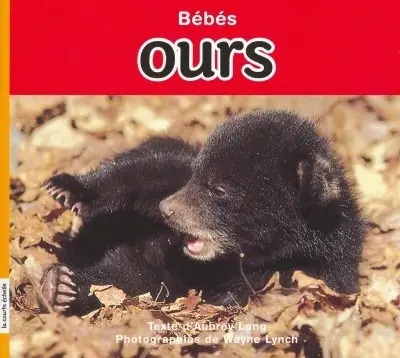 Bébés ours