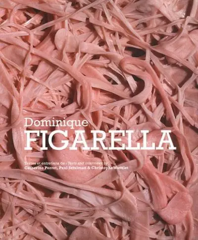 Dominique Figarella : exposition, Lieu international des formes émergentes de Saint-Nazaire, 13 février-11 avril 2011