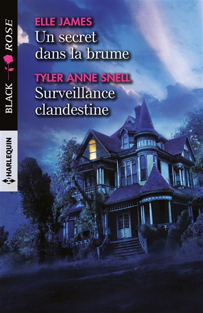 Un secret dans la brume. Surveillance clandestine