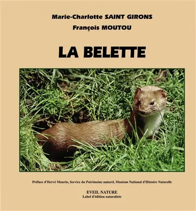 La belette