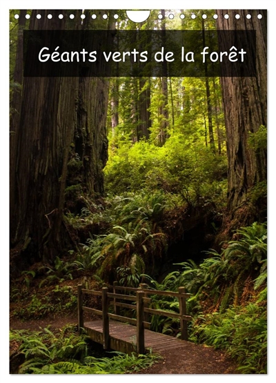 Géants verts de la forêt...