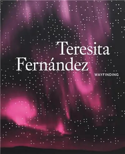 Teresita Fernandez Wayfinding